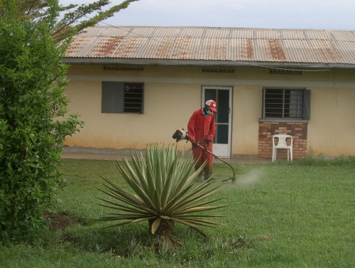 Gardener cutting the grass